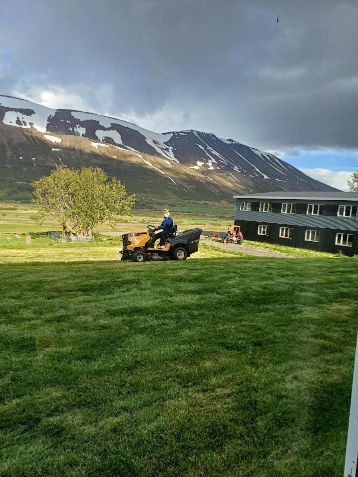 Draflastadir Guesthouse Draflastaðir المظهر الخارجي الصورة